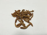 3000 Ct Mealworms - Buckeye Organics