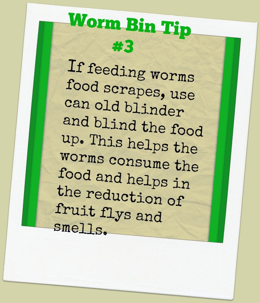 Worm Bin Tip #3