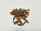 20,000ct Mealworms - Buckeye Organics